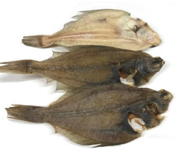 Scholletjes