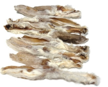 Konijnenoren met haar